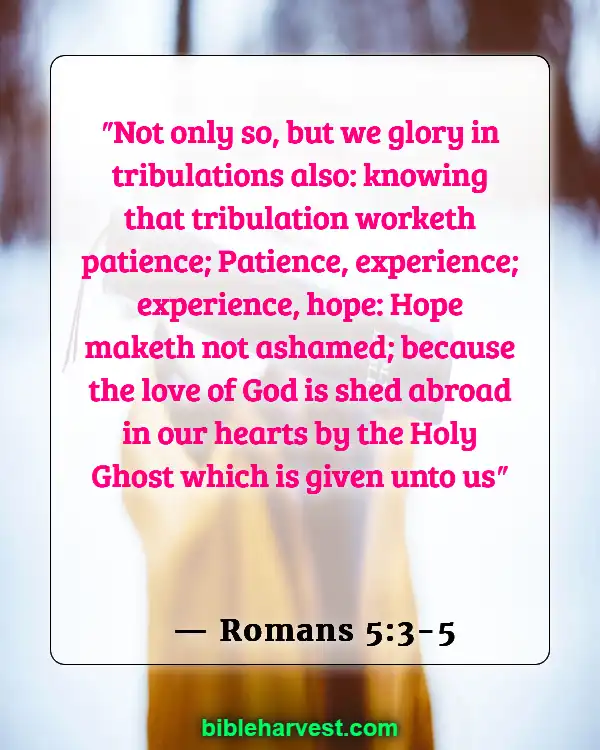 Bible Verses About Hapiness And Joy (Romans 5:3-5)