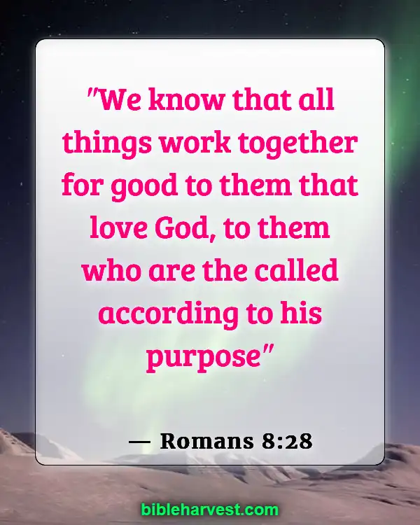 Bible Verses About Trusting God’s Plan (Romans 8:28)