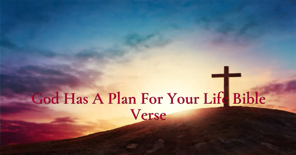 God Has A Plan For Your Life Bible Verse